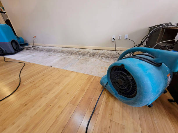 Professional Flood Damage Cleanup technician working in Nooksack, WA
